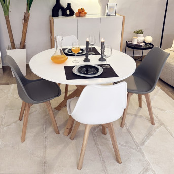 Pack Table CARMEN + 4 Chaises DSW Pieds Croisés